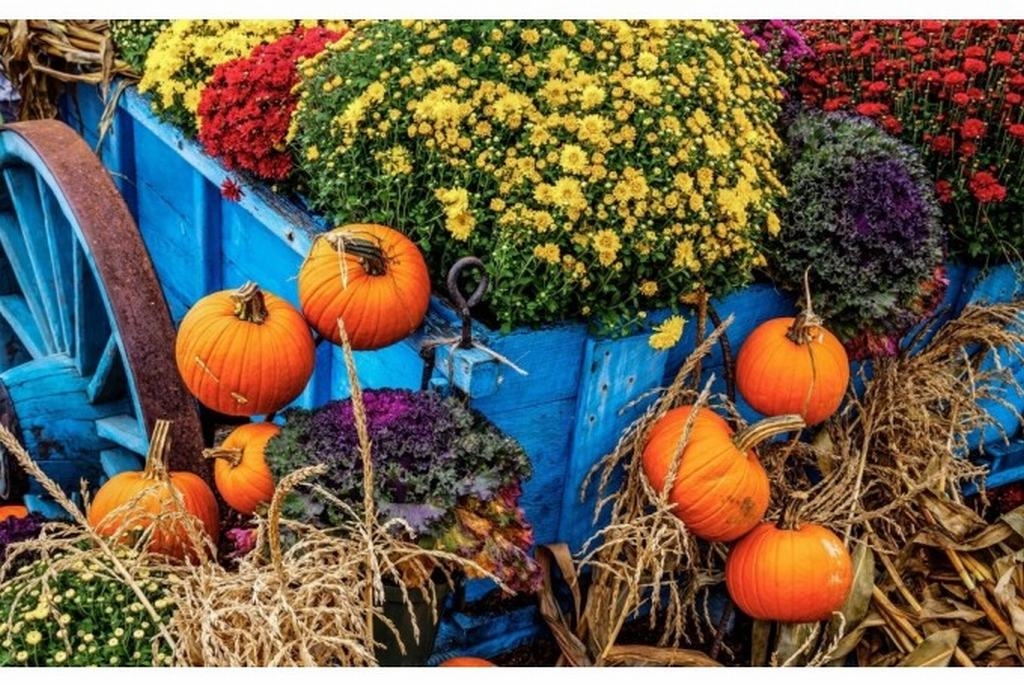 Autors: no aluksniesiem.diena.lv