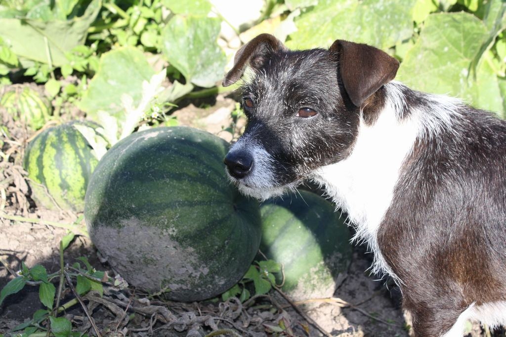 Autors: Līga Patmalniece