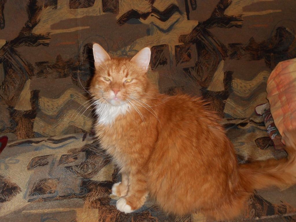 DAKTERIS Rūdis
Autors: Ināra Sudare