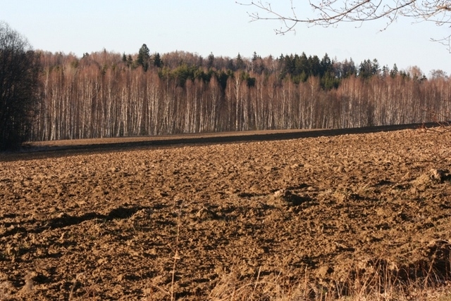 Autors: baltic-ireland.ie