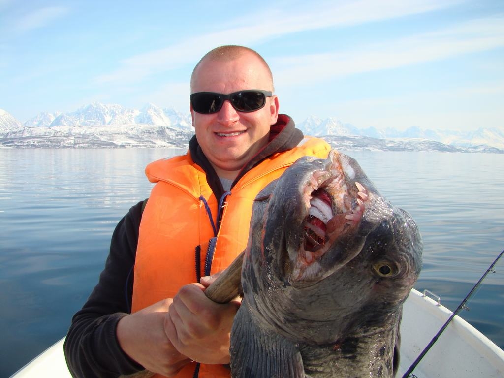 JŪRAS VILKS no Norvēģijas. 
Autors: no personīgā albuma