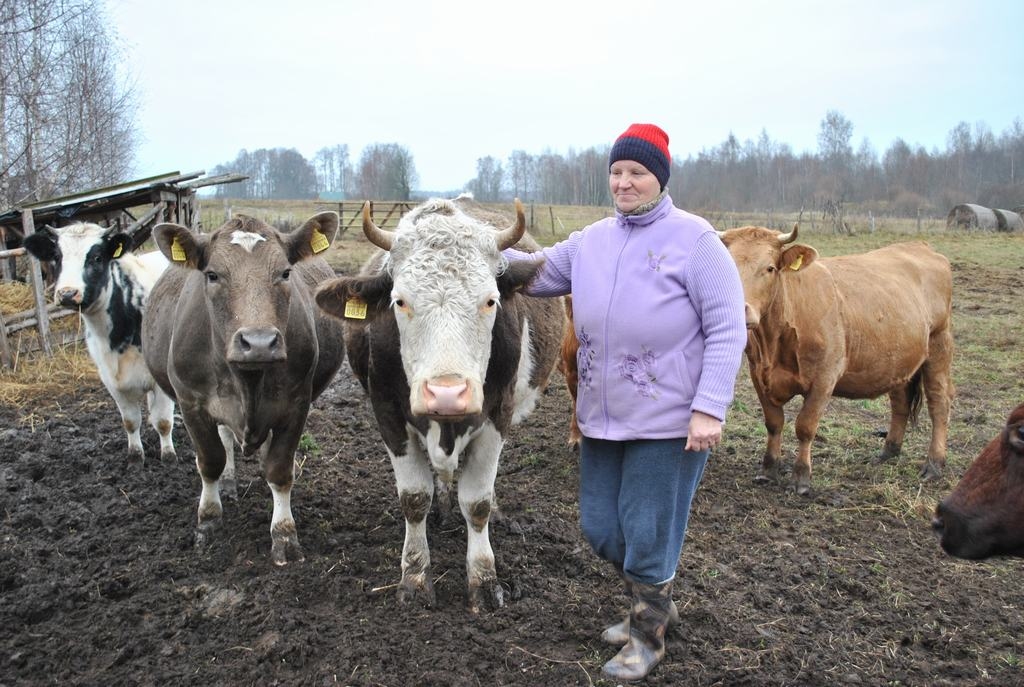 “Pūpolu” saimniece Inta Butāne. Līdzko būs izdevība, lopu skaitu būtiski palielinās.
Autors: Imants Kaziļuns