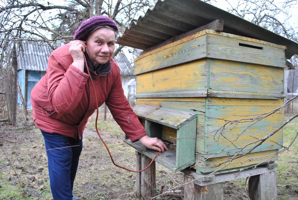 Ieklausīšanās. Marija Gedroviča cer, ka bites šoreiz sagaidīs pavasari.
Autors: Imants Kaziļuns