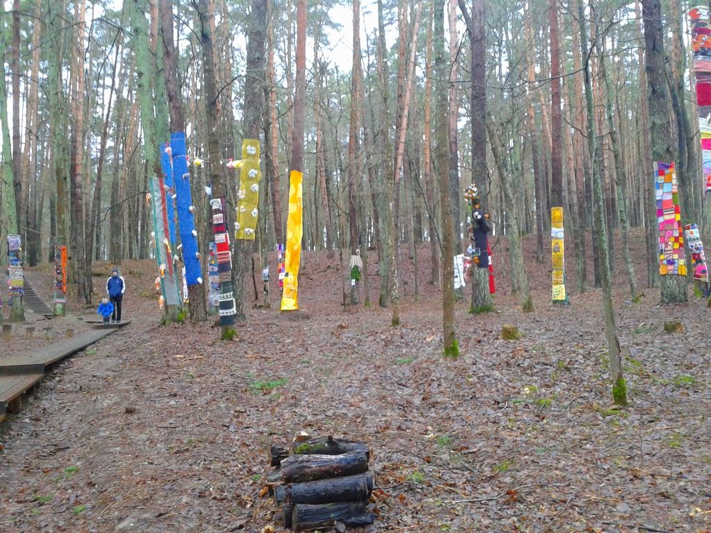 ZIEMAS GAIDĀS. Arī koki sapošas.  
Autors: no Sandras albuma