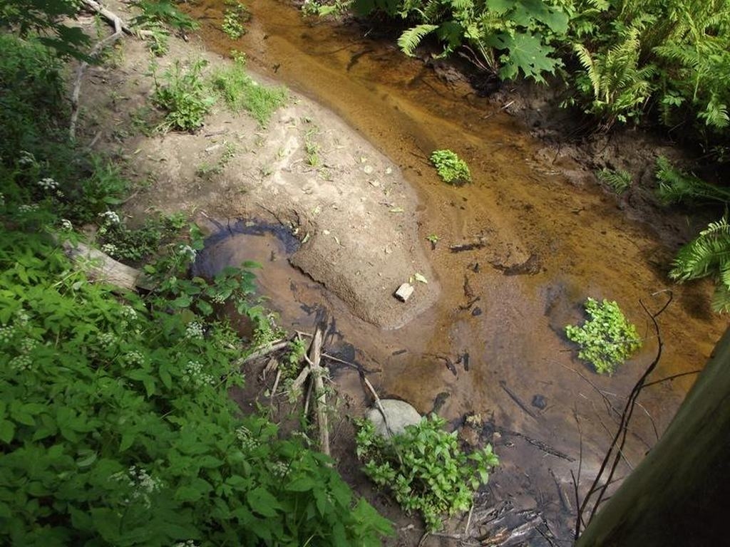Retums. Korkuļu ūdensrijējs.

Autors: Dainis Ozols