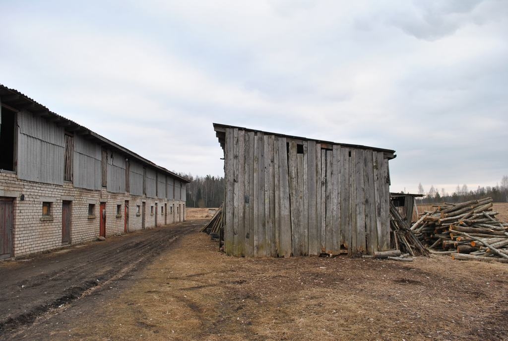 Malkai priekšroka. Daudzevas centrā šķūnīši ierīkoti bijušajās kūtiņās.
Autors: Imants Kaziļuns