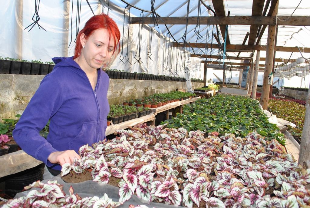 TE PAVASARIS JAU SĀCIES. Madara Vēvere uzaugusi kopā ar puķēm. 
Autors: Imants Kaziļuns