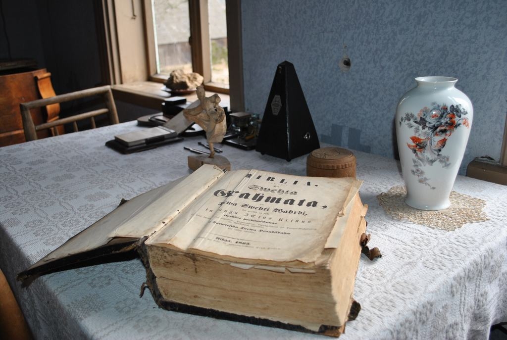 Dzimtas Bībele
Autors: Līga Patmalniece