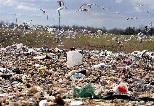 Autors: www.delfi.lv