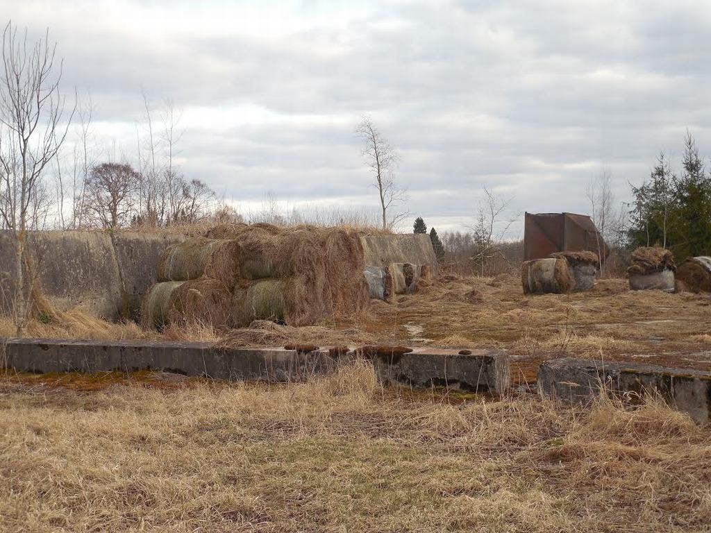 BOJĀ SKATU, BET NESMAKO. Neizlietotie siena ruļļi kļuvuši par kaimiņu nesaskaņu cēloni. 
Autors: Sandra Pumpure