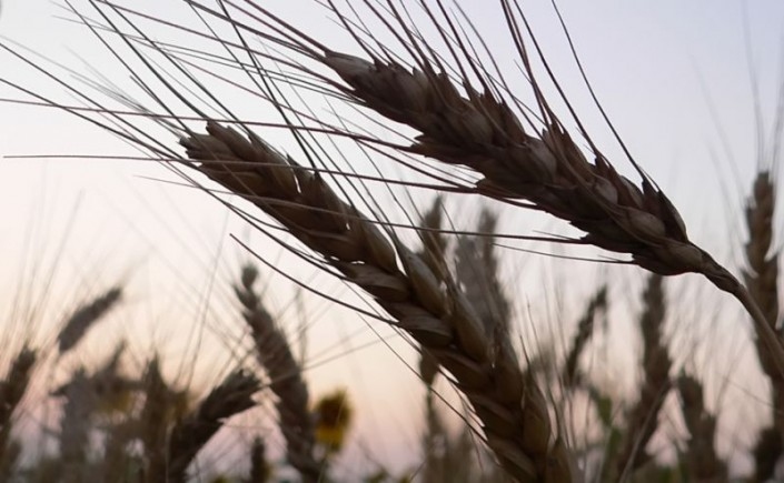 Autors: no www.db.lv