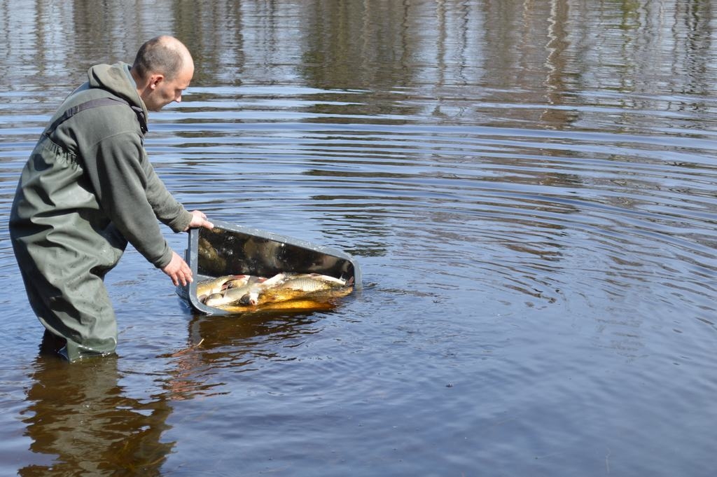 Autors: Patrīcija Zālīte