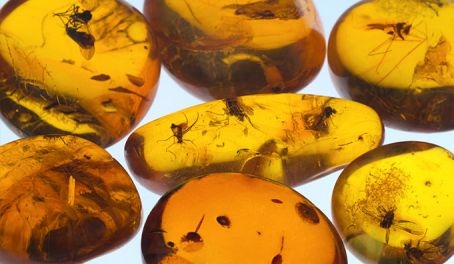 SIMBOLS. 2014.gada 17.maijā noslēgsies Muzeju nakts trīs gadu cikls, kas iezīmēja trejkrāsaino dzintara tapšanas ceļu. Iepriekšējos gados godinājām dzintara auklētājus – zilo jūru un zaļo mežu. Šogad sārtajam dzintaram jāiemirdzas visā tā spožumā.
Autors: www.visitlatvia.lv