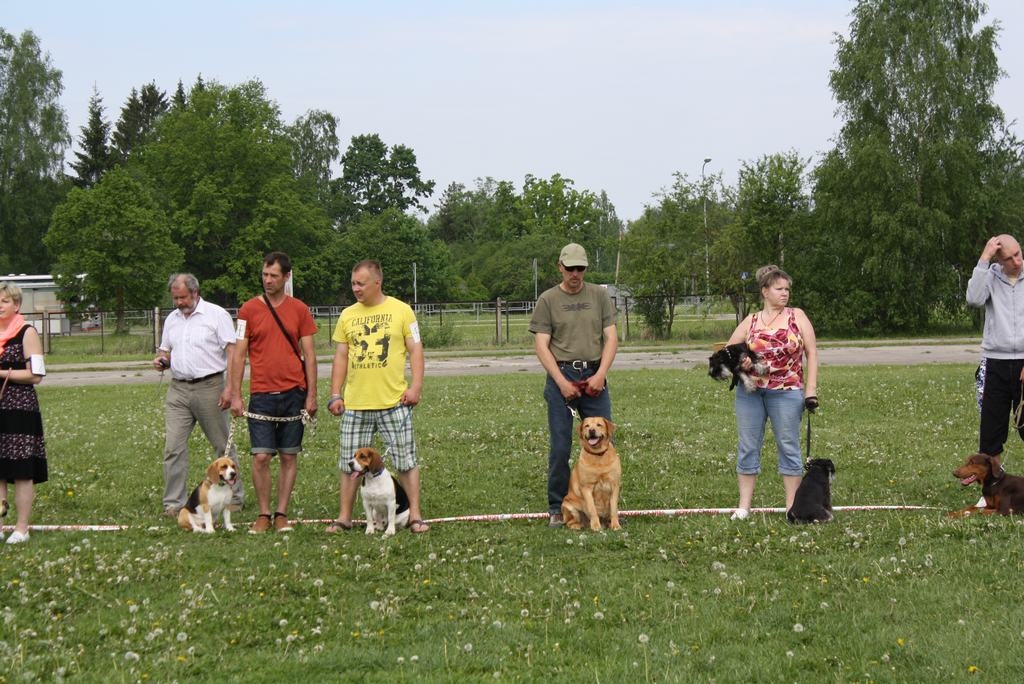 Autors: Ginta Grincēviča