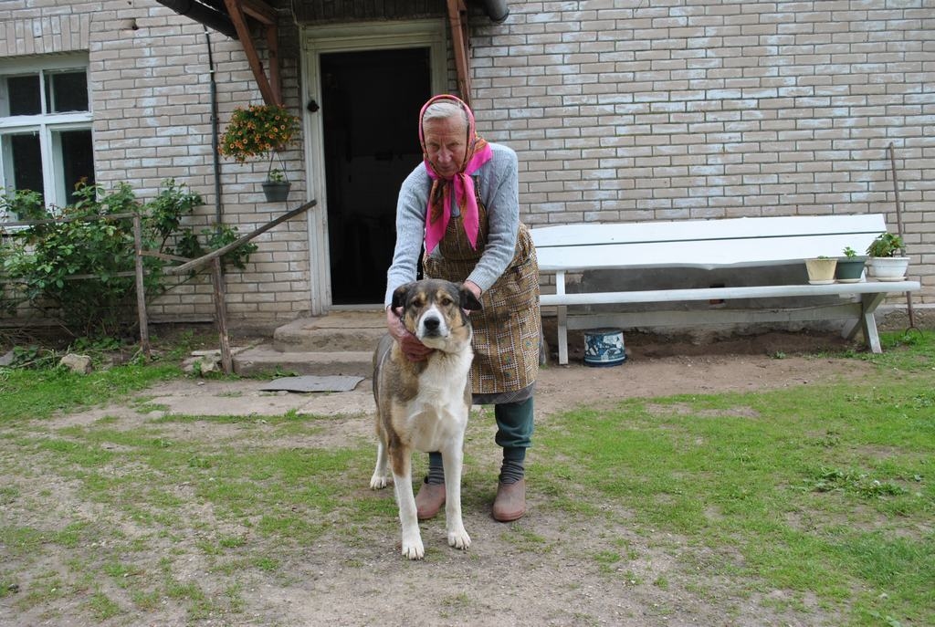 KRĪZES LAIKA ČALIS. “Čalis ir visu luteklis,” saka Ērika Peņģerote. “Viņu kā  kucēnu māsas mazmeita man uzdāvināja krīzes laikā, sakot, ka būs mazs sunītis. Māsa viņu nosauca par Čalīti. Bet sunītis auga un izauga tik liels. Tagad visur, kurp eju es, dodas arī Čalis.”  
Autors: Guna Mikasenoka