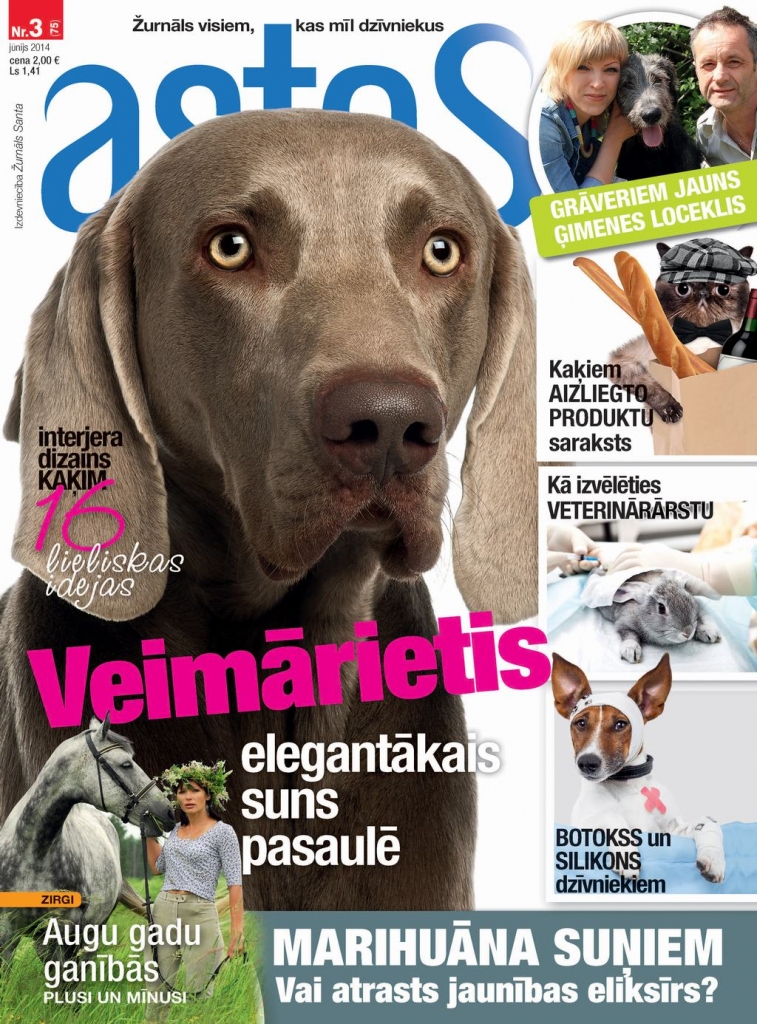 Aluksniesiem.lv raksta attēla aizvietotājs