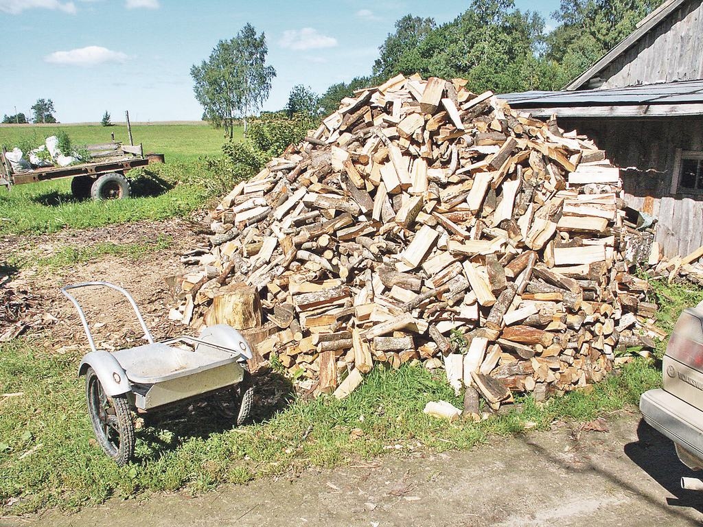 Autors: Dainis Ģelzis