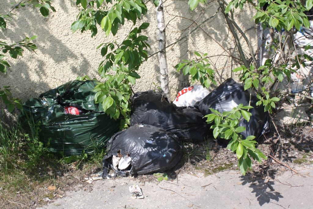 Maisu kļuvis vairāk. Rūpniecības ielā, pie bijušās degvielas uzpildes stacijas ēkas, joprojām sakrauti atkritumu maisi, kuri, visticamāk, atvesti ar automašīnu.
Autors: Ginta Grincēviča