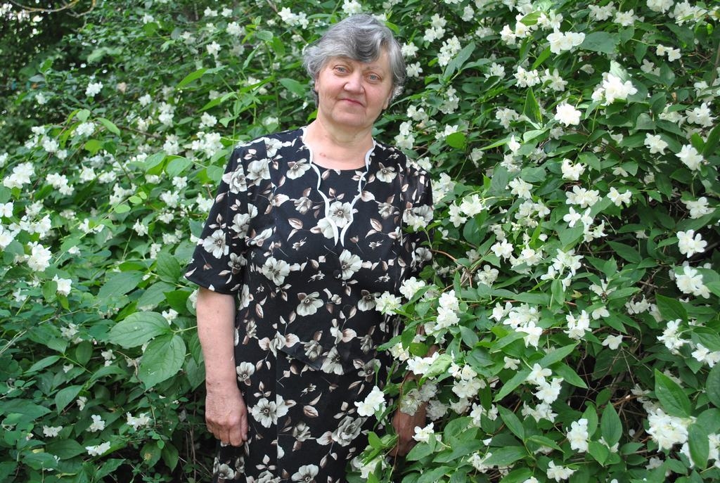 Ceriņu vietā jasmīni. “Parasti manā jubilejā māju pušķojām ar ceriņiem, bet šogad pat jasmīni jau birst nost,” teic Zenta Vīksna. “Un dzimšanas dienā man neko dāvināt nevajag, tikai ziedus, tos gan.”
Autors: Līga Patmalniece