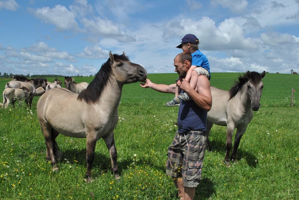 Atgriešanās. Anris Lazdiņš un mazais Lūkass, ik dienu iepazīst mežonīgo zirgu dzīvi. 
Autors: Imants Kaziļuns
