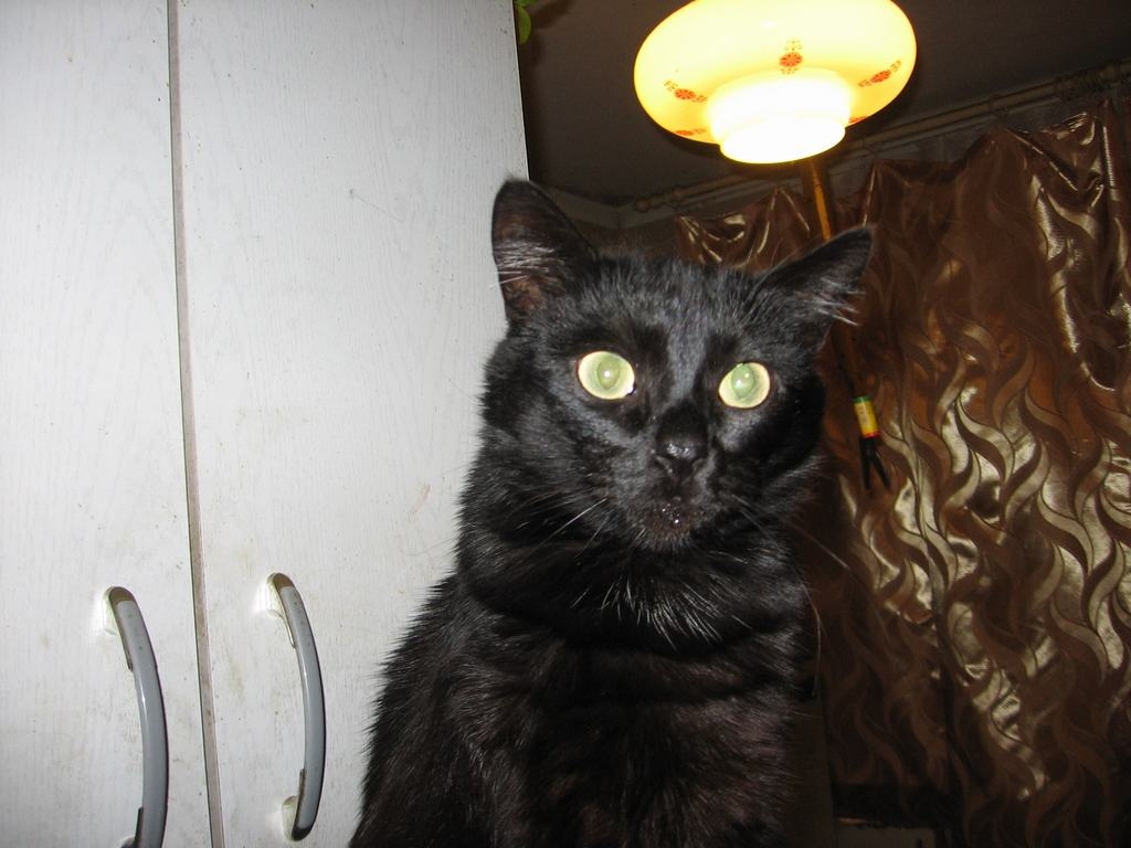 Autors: Ināra Sudare