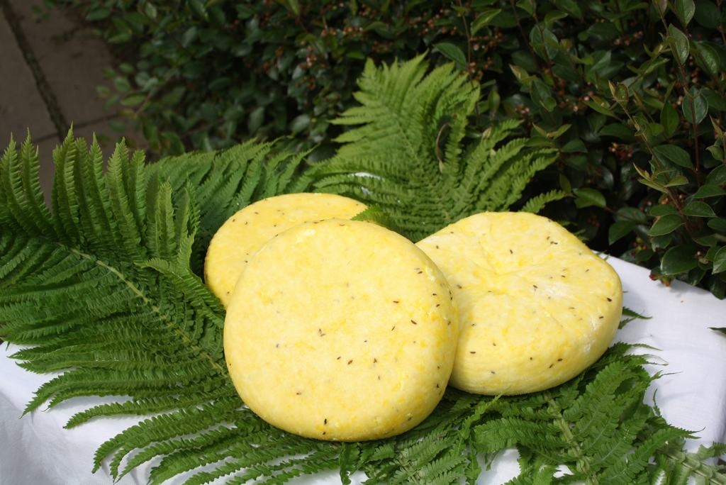 Saulains ritulītis. Ināras gatavotais Jāņu siers ar ķimenēm tiek likts galdā gan svētkos, gan ikdienā.
Autors: Ginta Grincēviča