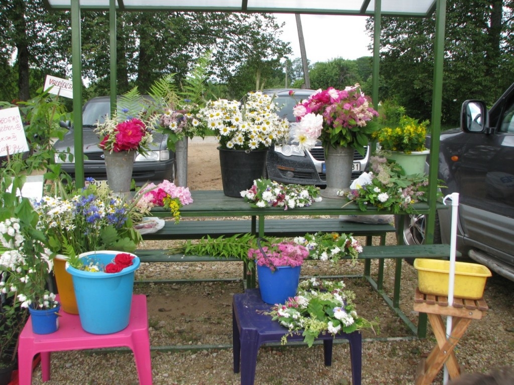 Autors: no www.skriveri.lv