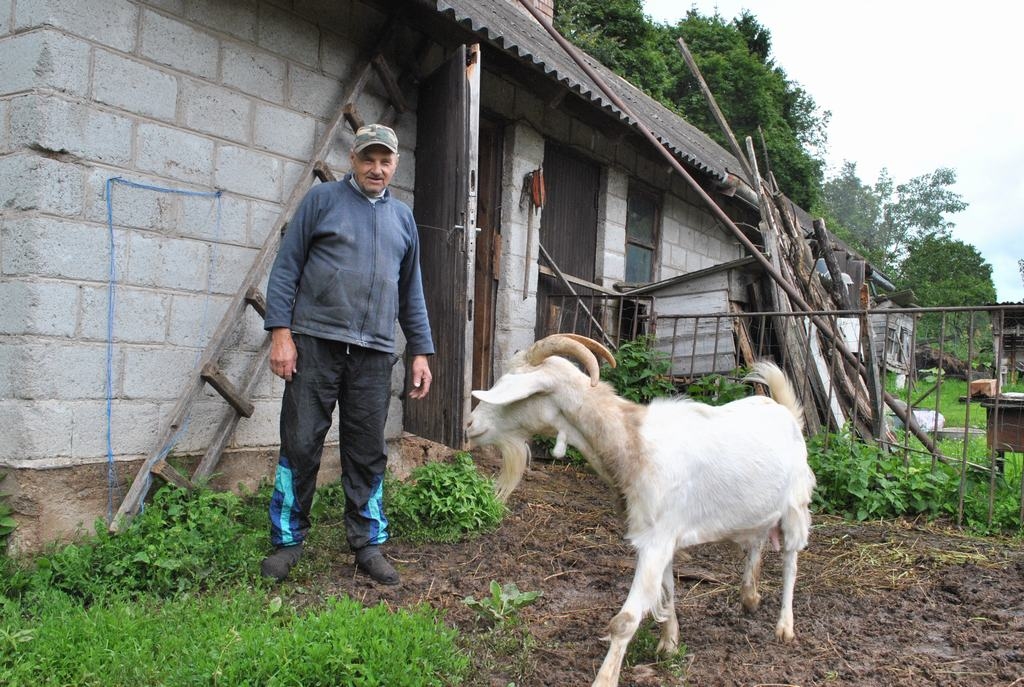 Saimnieks Vilnis Mušperts ik dienu izslauc vismaz pāris litru kazas piena.
Autors: Imants Kaziļuns