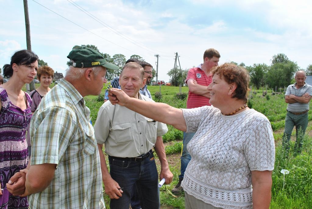Kas par smaržu! Biruta Jansone Lauku dienā atklāj tauriņziežu atšķirīgās īpašības.
Autors: Imants Kaziļuns