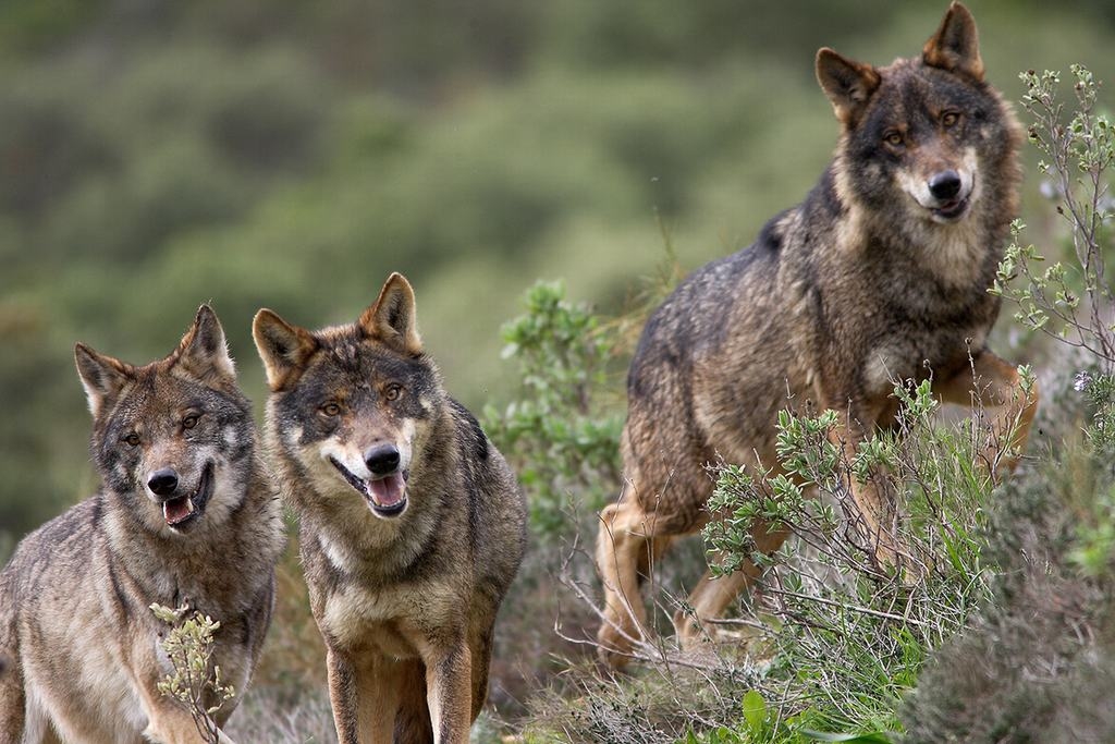 Autors: no 500px.com