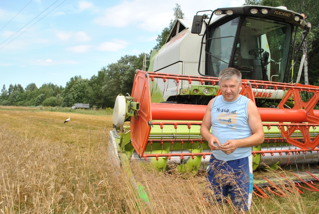 Saule graudus strauji kaltē. Aigars Stuglis vakar iesāka kult ziemas kviešus.
Autors: Imants Kaziļuns