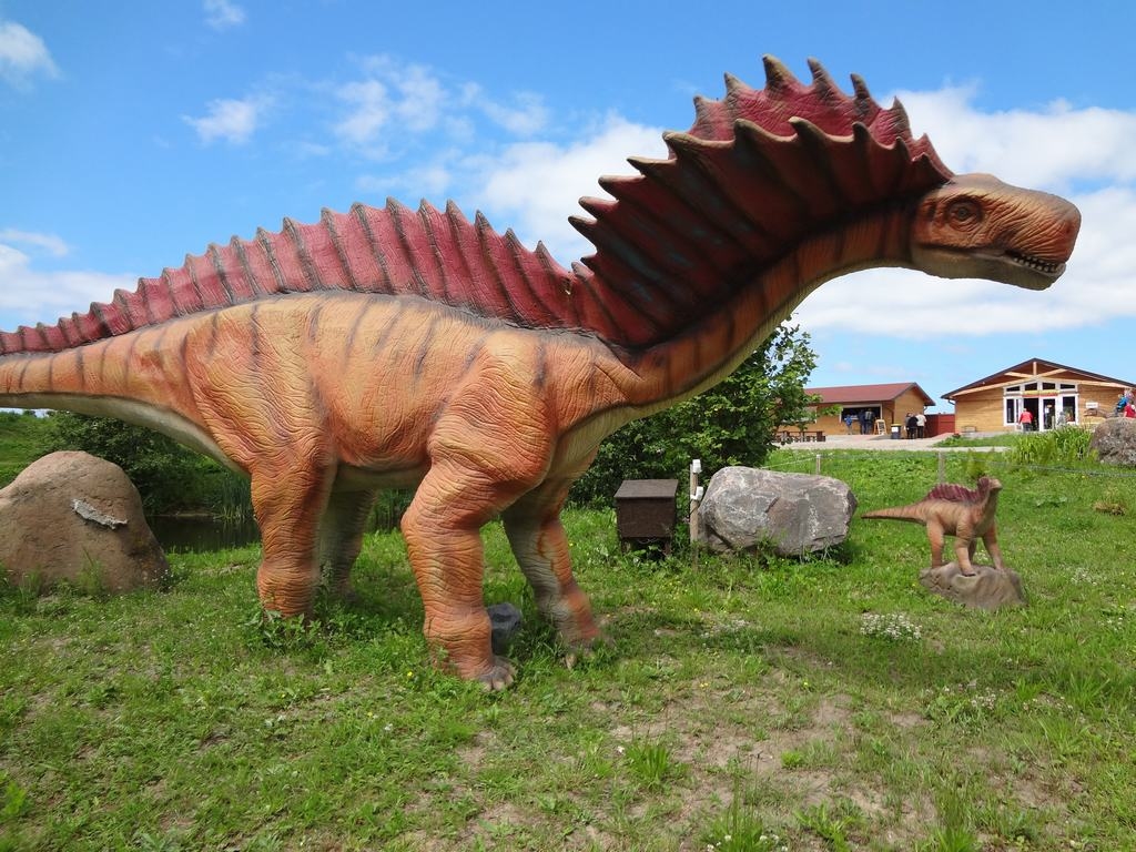 Aluksniesiem.lv raksta attēla aizvietotājs