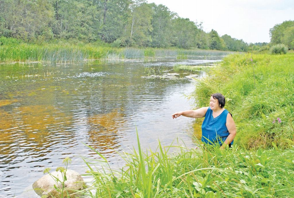 Arī pati gribētu iekāpt laivā, lai kādu laiku, izbaudot braucienu pa upi, ļautos straumei  Bet vienmēr ir kas svarīgāks darāms, un  romantiskais brauciens paliek vien sapnis.
Autors: Imants Kaziļuns