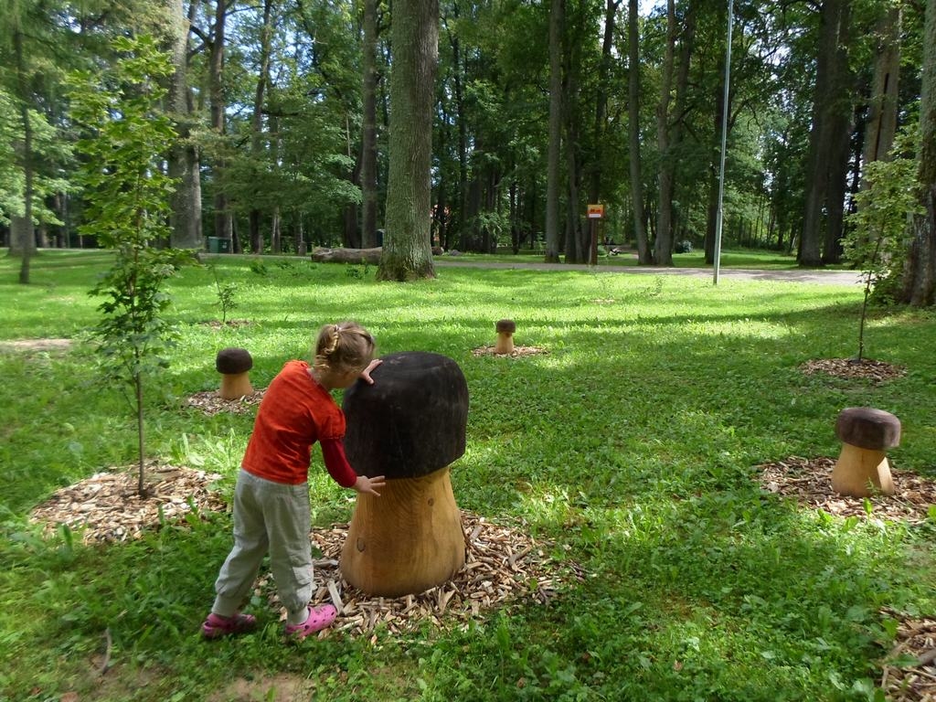 KUR SĒNES, TUR SĒŅOTĀJI... Daža sēne tik liela, ka to tik tikko var apņemt.
Autors: Ināra Sudare