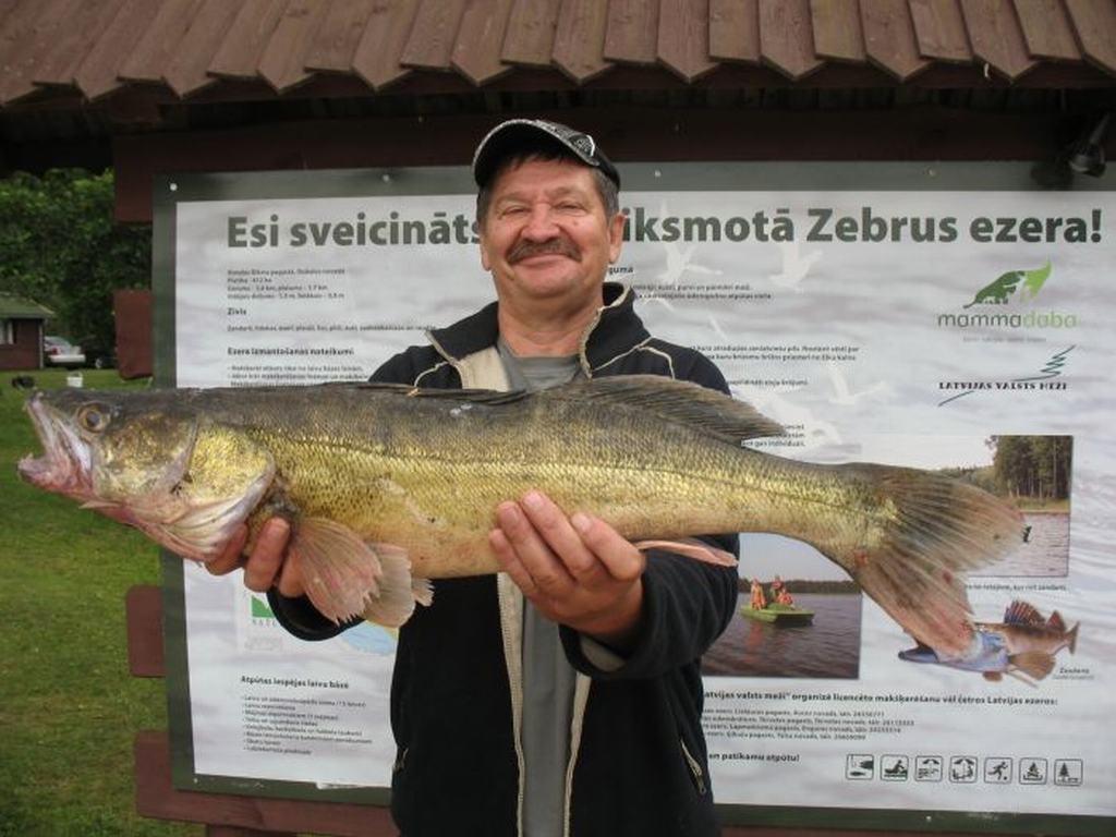 Autors: Publicitātes foto