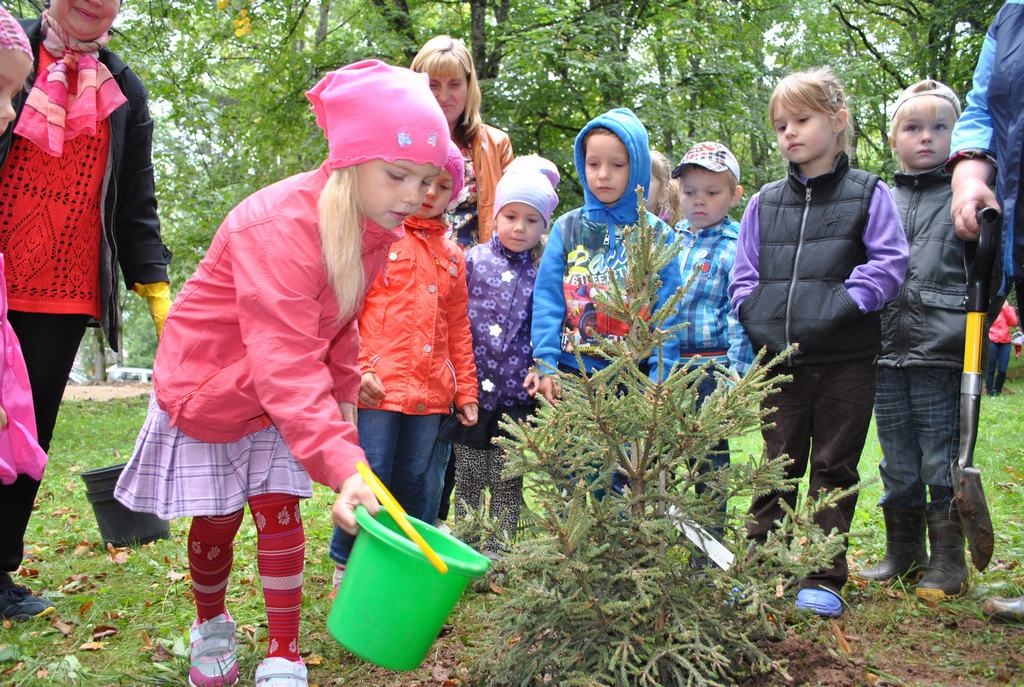 Pirmā pieredze. Mazie bērnudārza “Bitīte” audzēkņi kociņus stādīja pirmo reizi mūžā. 
Autors: Līga Patmalniece