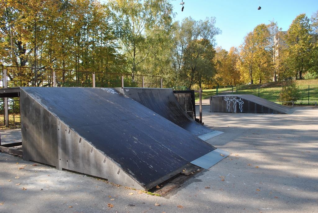 NAV IZMANTOJAMS. Pēc demontāžas skeitparka konstrukcijas pašvaldība paredzējusi no bilances norakstīt. Skeitparks nav izmantojams, sportisti tur vairs nedrīkst trenēties
Autors: Guna Mikasenoka