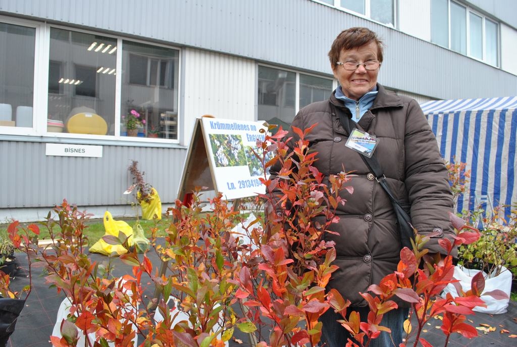Krūmmelleņu speciāliste. Pieredzē dalās Irēna Jurķele no zemnieku saimniecības “Bīsnes” Mazozolu pagastā.
Autors: Imants Kaziļuns