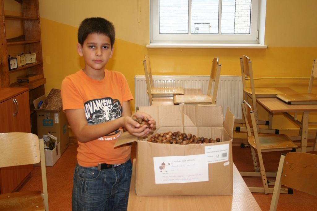 AKTĪVĀKAIS OZOLZĪĻU VĀCĒJS. 3.b klases skolēns Martins Petrosjans kopā ar ģimeni salasīja 21 kilogramu zīļu.

Autors: no Aizkraukles pilsētas sākumskolas arhīva