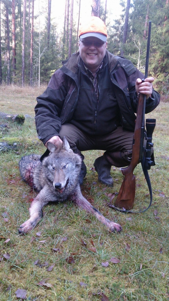 Mežā par vienu vilku mazāk. Ar precīzu Jāņa Kažemaka šāvienu nomedīts pirmais vilks šajā sezonā. Par to prieks MK “Vāverītes” biedriem.

Autors: no personīgā albuma