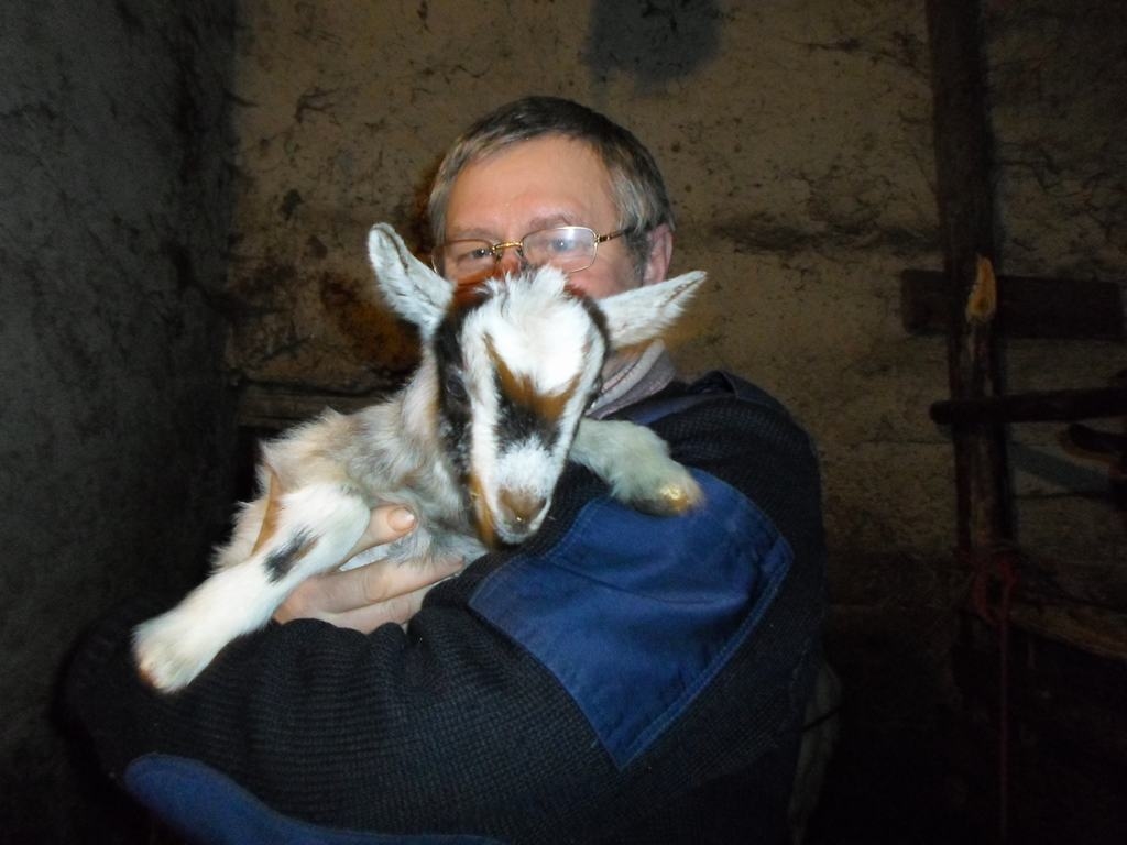 SAIMNIEKS VILNIS SAIMENS ar šīgada simbolu. 