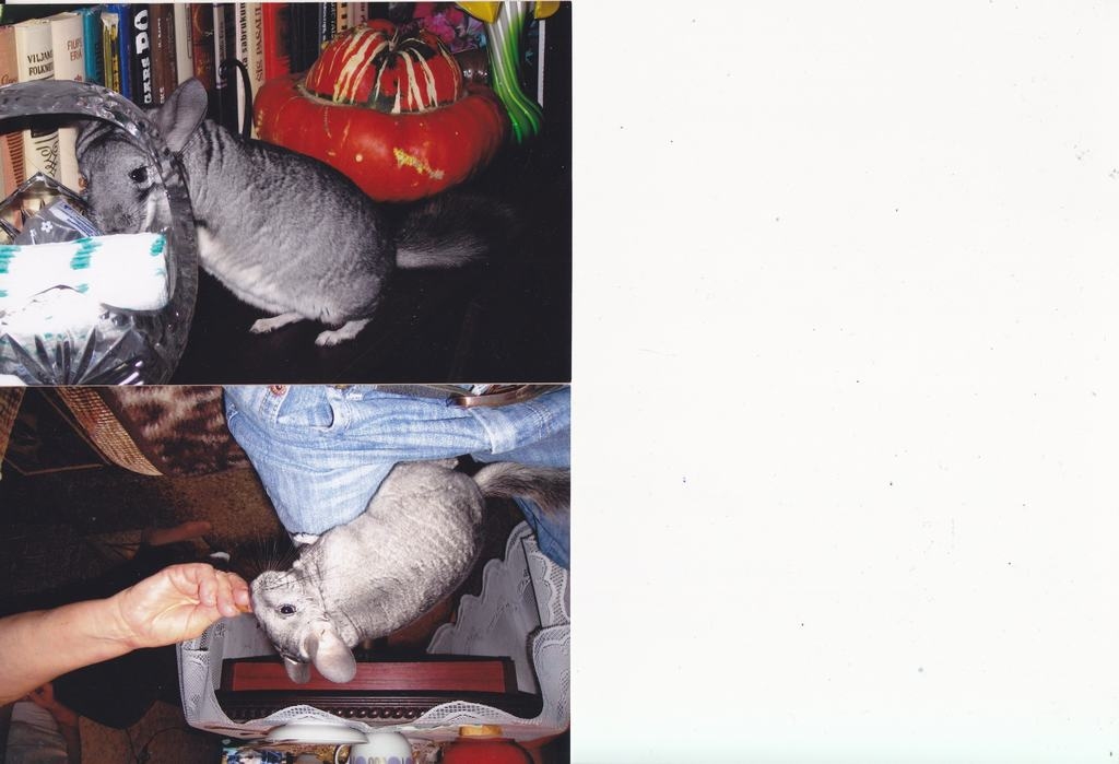 Autors: no ģimenes albuma