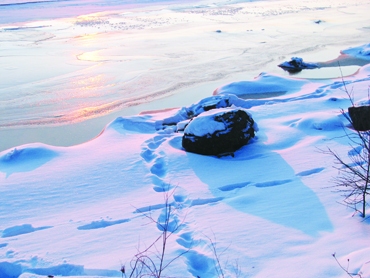 Autors: Solveiga Ivanova