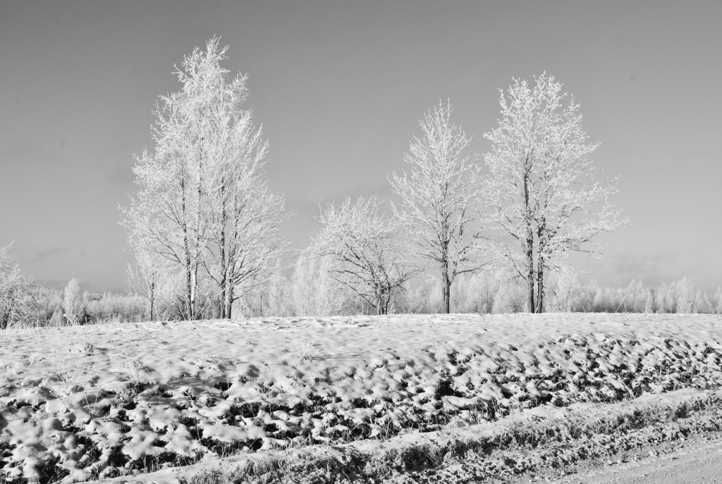 Autors: Līga Patmalniece