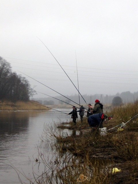 Autors: Guntars Auziņš