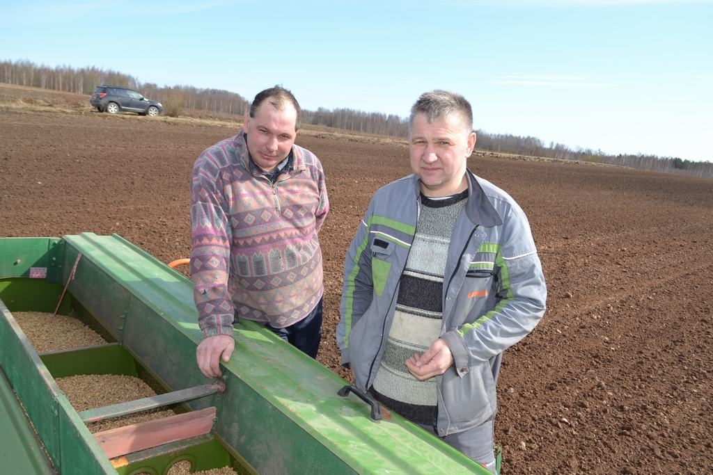 Pirmie asni — pēc desmit dienām. Jauno sezonu Aigars Lācis (no kreisās) un Aigars Stuglis sāk ar jau pārbaudītu lauksaimniecības kultūru.
Autors: Imants Kaziļuns