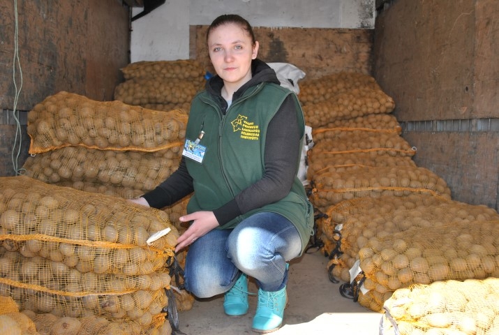 Vēlas pārbaudītas vērtības. “Pircēji uzticas zināmām šķirnēm, visu jauno iepazīst pamazām,” saka Lāsma Jefimova, institūta kartupeļu sēklaudzēšanas agronome. 