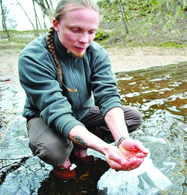 Pārāk mazi, lai sauktu par mazuļiem. Mārcis Ziņģis Pērses upes krastā izlaiž pirmos līdaku kāpurus.