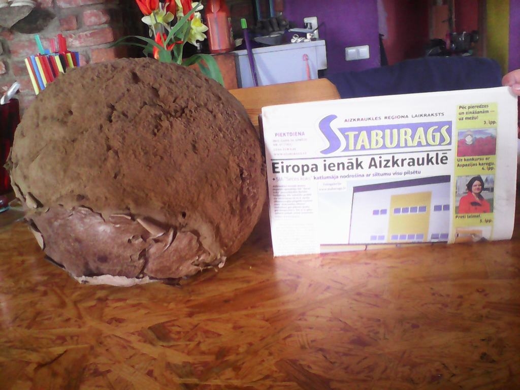 MILZENIS. 	
Autors: Guna Grundspeņķe