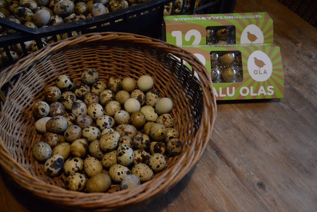 Divu dienu vākums. Bruno Cīruļa saimniecībā paipalas dienā izdēj vidēji 500 olu.